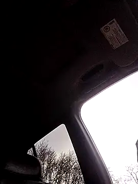 Snapshot of 1234locos chatting on March 31, 2026, 12:38 pm 1234locos online show from March 31, 2026, 12:38 pm