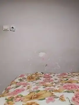 nihattttttttttttttt online show from January 8, 2026, 7:49 pm