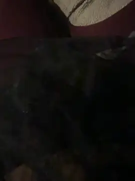 nenad062 online show from December 17, 2025, 7:03 am