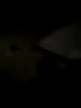 freedmar online show from November 5, 2025, 11:32 am