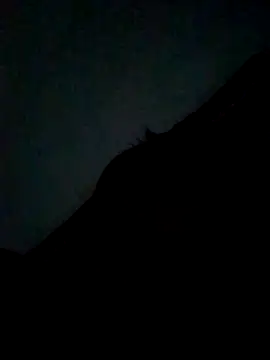 Snapshot of CatchingBouquet chatting on September 21, 2025, 7:37 pm CatchingBouquet online show from September 21, 2025, 7:37 pm