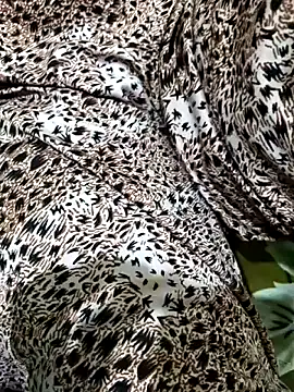 Dassing strip couple online show from April 5, 2026, 10:34 am