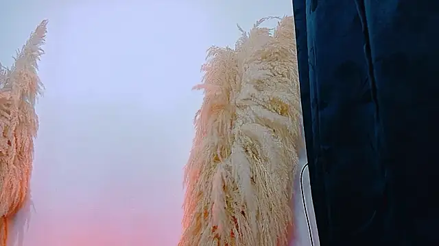 JulietaDavis online show from February 22, 2026, 9:41 am