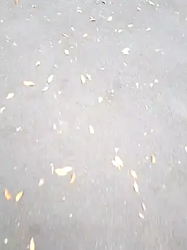 Snapshot of Arya_Lexy chatting on October 26, 2025, 2:45 pm Arya Lexy online show from October 26, 2025, 2:45 pm