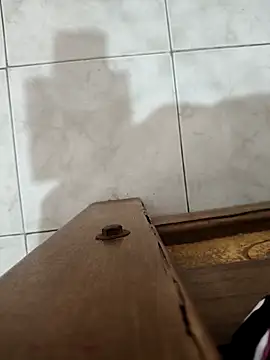 Exoticovergon online show from November 6, 2025, 7:59 pm