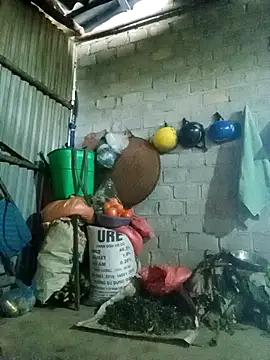 jienrrr online show from February 18, 2026, 12:28 am