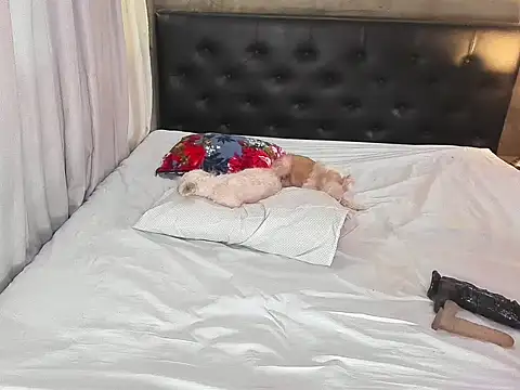 hotbabymaria online show from November 14, 2025, 1:26 am