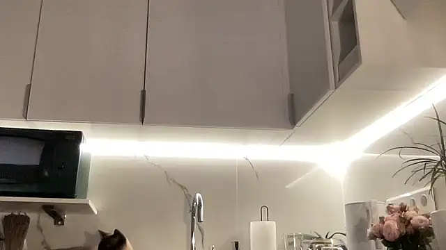 Gidelii online show from October 13, 2025, 6:52 pm