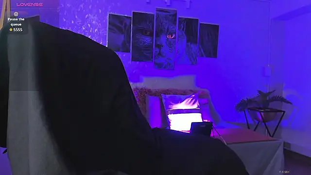 nils saint online show from January 13, 2026, 3:12 am