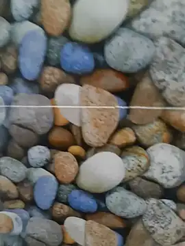 Snapshot of coocon2020 chatting on October 28, 2025, 1:31 am coocon2020 online show from October 28, 2025, 1:31 am