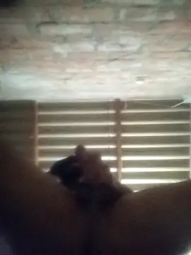 jocafe1995 online show from April 21, 2026, 3:02 am