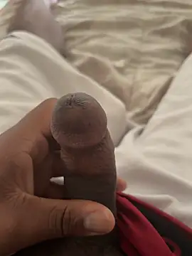 Snapshot of Detroitplaya33 chatting on April 12, 2026, 5:29 pm Detroitplaya33 online show from April 12, 2026, 5:29 pm