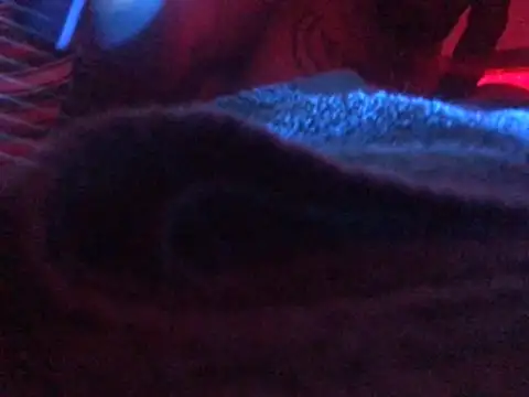 Snapshot of Taydagr8 chatting on May 18, 2026, 4:40 am Taydagr8 online show from May 18, 2026, 4:40 am