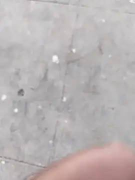 Snapshot of Wet_BunnyFun chatting on November 5, 2025, 12:05 pm Wet BunnyFun online show from November 5, 2025, 12:05 pm