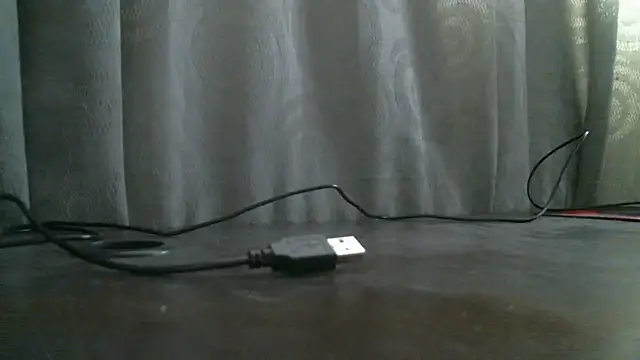  ari gato  online show from November 4, 2025, 3:11 pm