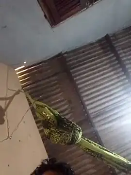 mayevviaqui online show from March 11, 2026, 7:42 pm