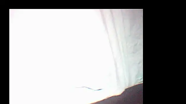 Snapshot of pietje1991 chatting on December 19, 2025, 3:52 pm pietje1991 online show from December 19, 2025, 3:52 pm