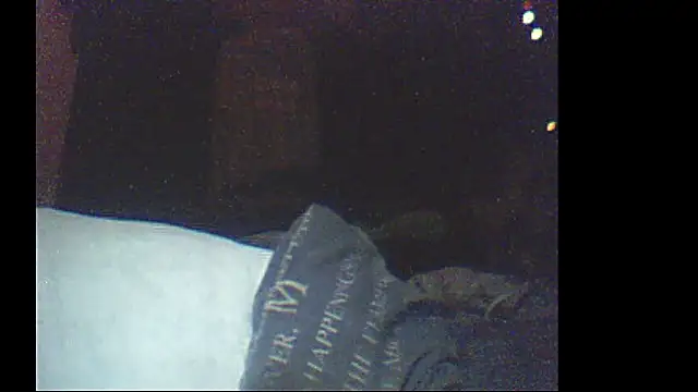 Snapshot of pietje1991 chatting on January 11, 2026, 12:37 am pietje1991 online show from January 11, 2026, 12:37 am