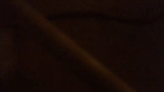 Snapshot of pietje1991 chatting on February 5, 2026, 4:44 pm pietje1991 online show from February 5, 2026, 4:44 pm