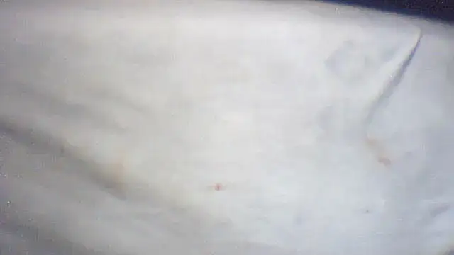 Snapshot of pietje1991 chatting on February 25, 2026, 1:43 pm pietje1991 online show from February 25, 2026, 1:43 pm