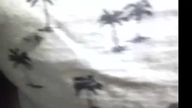 pietje1991 online show from March 19, 2026, 12:09 pm