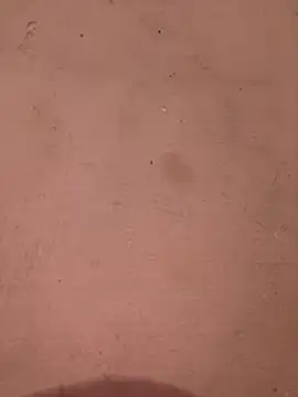 sakshi5533 online show from November 28, 2025, 7:27 pm