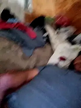 alber907 online show from February 4, 2026, 12:33 pm