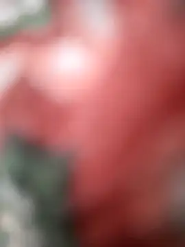 Snapshot of SexyBhabhi323 chatting on October 5, 2025, 8:12 am SexyBhabhi323 online show from October 5, 2025, 8:12 am