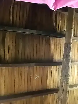 teluguvarsha online show from April 9, 2026, 8:42 am