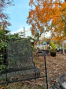 Snapshot of sizableunicorn7 chatting on November 6, 2025, 10:32 pm sizableunicorn7 online show from November 6, 2025, 10:32 pm