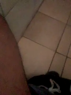 Snapshot of Lushen704 chatting on October 29, 2025, 6:15 am Lushen704 online show from October 29, 2025, 6:15 am