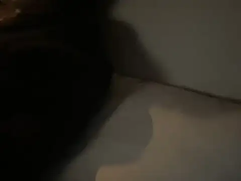 dddasani online show from December 15, 2025, 6:45 pm