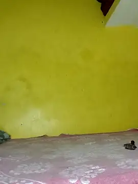 Dazzling khushii online show from September 11, 2025, 10:04 am