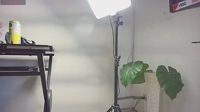 sakuramoss online show from October 24, 2025, 6:43 am