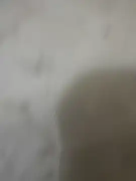 zackria online show from December 23, 2025, 12:30 am