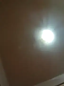 alexpo27 online show from December 22, 2025, 2:52 am