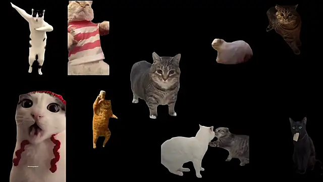 Snapshot of ch0wn_m chatting on September 20, 2025, 11:55 am ch0wn m online show from September 20, 2025, 11:55 am