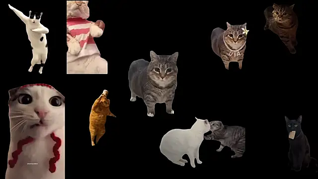 Snapshot of ch0wn_m chatting on November 14, 2025, 1:21 pm ch0wn m online show from November 14, 2025, 1:21 pm