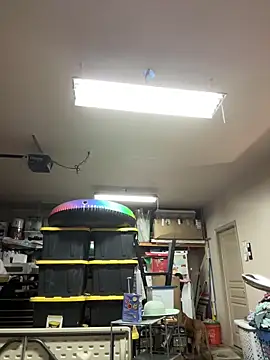 petalsexy online show from September 25, 2025, 5:38 pm