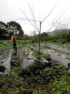 Snapshot of Exembin chatting on October 24, 2025, 1:57 am Exembin online show from October 24, 2025, 1:57 am