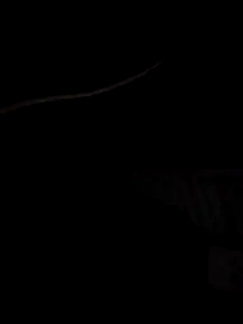 Xharmakesyoufeelorgasms online show from October 19, 2025, 12:11 am