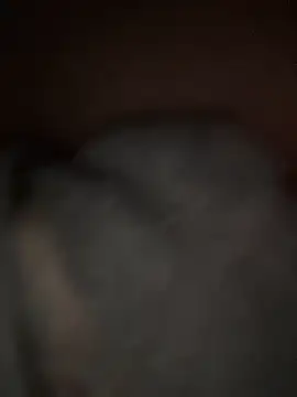 sunset24 online show from March 29, 2026, 12:54 am