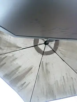 Snapshot of Sallem_Pink chatting on April 4, 2026, 11:18 am Sallem Pink online show from April 4, 2026, 11:18 am