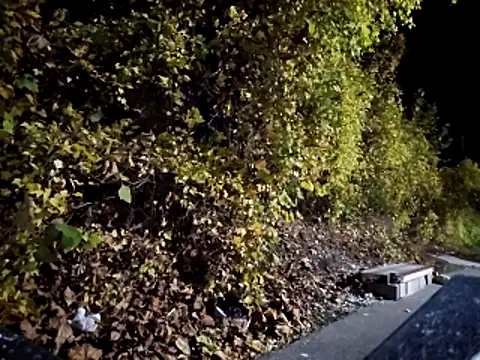 sloppytopkins online show from November 6, 2025, 8:15 am