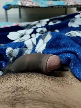 Snapshot of Bull54321 chatting on December 15, 2025, 4:33 pm Bull54321 online show from December 15, 2025, 4:33 pm