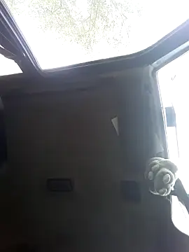 N i k o l a u online show from September 29, 2025, 12:32 pm