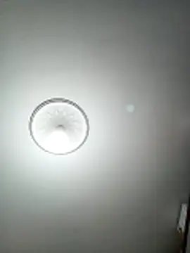 mert0359 online show from April 24, 2026, 8:33 pm