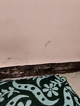 Indian-Aleena online show from April 1, 2026, 1:41 pm