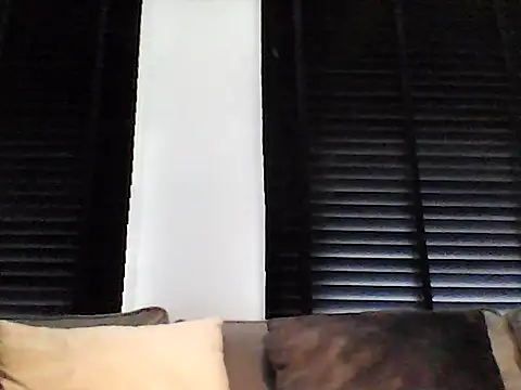perlados online show from May 16, 2026, 7:38 am