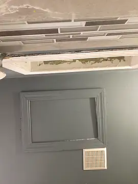 chocolate bella online show from October 11, 2025, 4:01 am